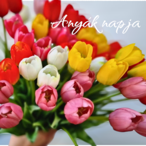 Anyák napja